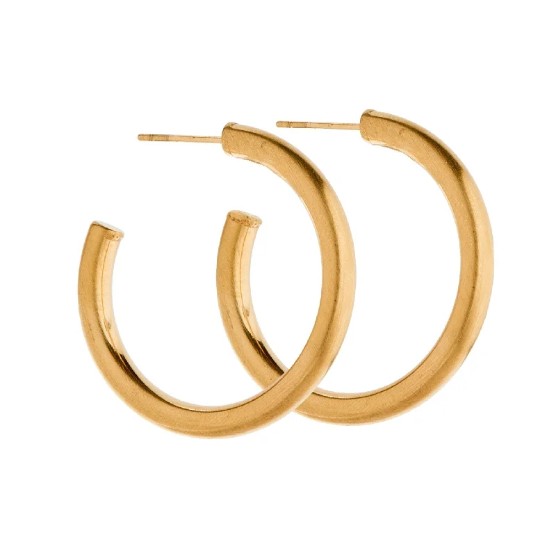 Sparkling Gold Earrings-Linny Co | Avery Matte Gold Tone Hoop Earrings